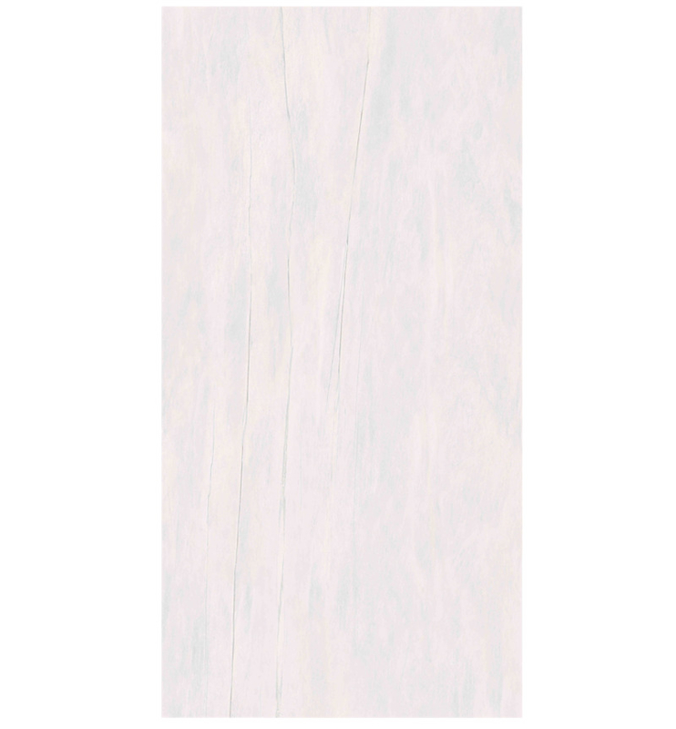 매트/글로스 페니쉬에서 600x1200mm의 간결한 현대 스타일의 돌 효과 포르셀린 바닥 타일